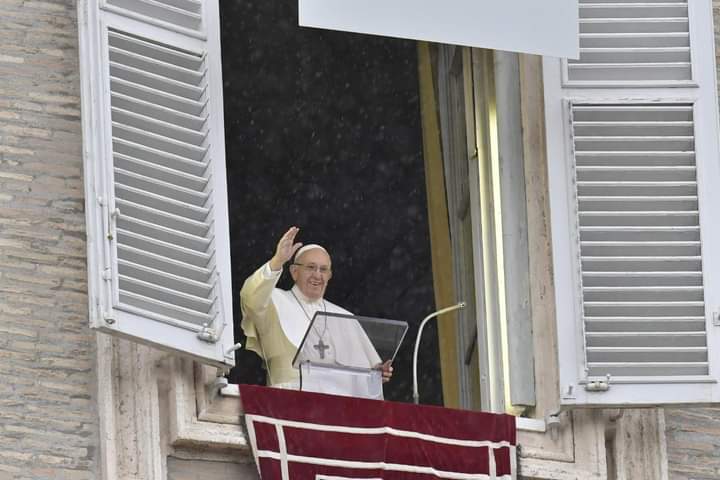 Pope at Audience: God transforms our sinful lives to make us missionaries